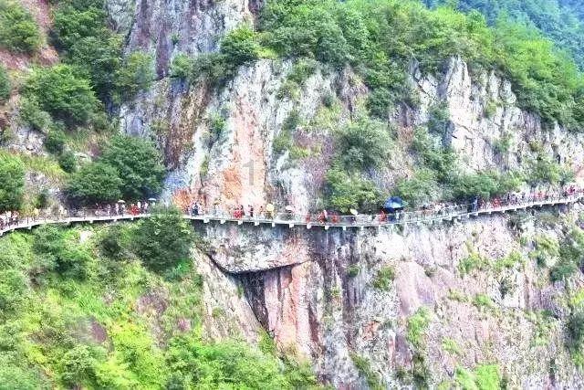 大无名森林逃生