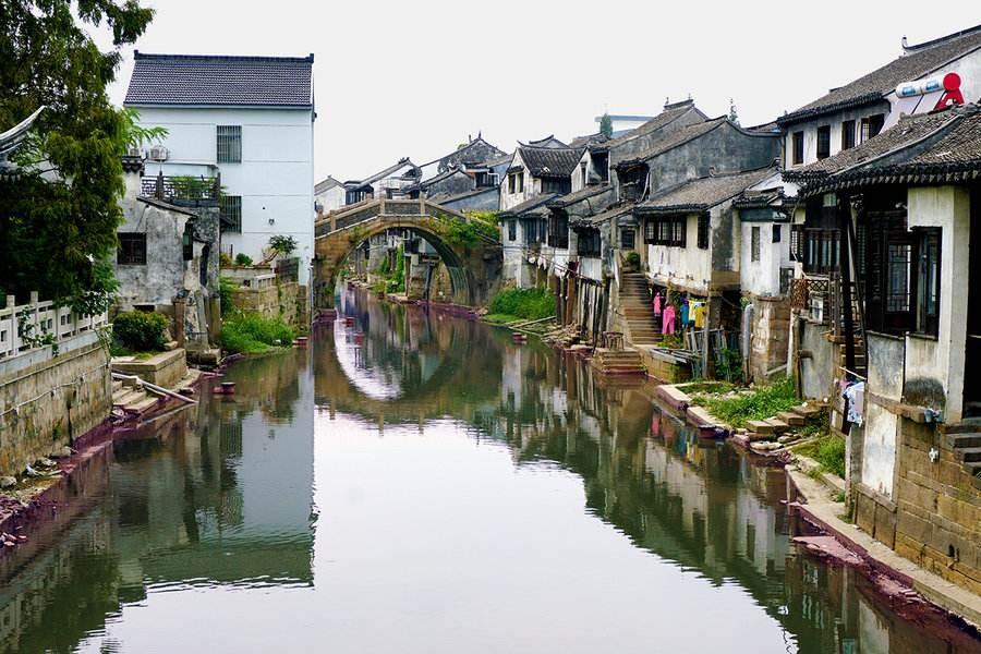 西葫芦到底有什么营养价值游戏画面